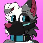  anthro bdsm blue_eyes border_collie canid canine canis collar collie domestic_dog floppy_ears foxyroxford gordiethecollie herding_dog male mammal muzzle_(object) muzzled pastoral_dog sheepdog shock_collar solo 