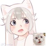  1other androgynous cat dide6an grey_eyes grey_hair highres humanization kitten looking_at_viewer medium_hair meme original photo-referenced sketch 