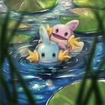  alternate_color blurry blurry_foreground depth_of_field lily_pad momomo12 mudkip no_humans open_mouth outdoors partially_submerged pokemon pokemon_(creature) shiny_pokemon swimming water 