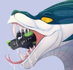  anthro apode bodily_fluids canid canine canis draconcopode duo fur hellezra hi_res legless male male/male mammal naga open_mouth oral_vore reptile saliva scalie serpentine size_difference snake teeth throat_hug tongue tongue_out vore wolf 