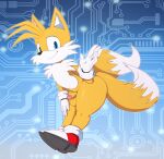  2_tails anthro balls bigdon1992 canid canine clothing dipstick_tail footwear fox fur genitals gloves handwear hi_res male mammal markings miles_prower mostly_nude multi_tail penis red_clothing red_footwear red_shoes sega shoes solo sonic_the_hedgehog_(series) tail tail_markings white_body white_clothing white_fur white_gloves white_handwear yellow_body yellow_fur 