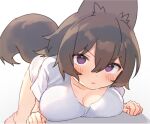  1girl :t animal_ears barefoot blush breast_press breasts brown_hair cleavage closed_mouth hair_between_eyes large_breasts looking_at_viewer original pout purple_eyes shirt short_sleeves simple_background solo tail v-shaped_eyebrows white_background white_shirt wolf_ears wolf_tail wolflove 