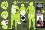  anthro canid canine canis english_text eriklechugaa green_body green_eyes green_hair hair hi_res lechuga_(eriklechugaa) male mammal model_sheet reference_image solo spanish_text text wolf 