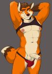  abs anthro bedroom_eyes canid canine clothing foreskin fox genitals hi_res invalid_tag jock jockstrap male mammal narrowed_eyes nipples pecs penis redfox seductive shirt solo stone_(vasuki) tank_top topwear underwear vasuki 