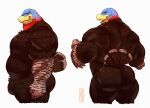 2022 absurd_res anthro avian back_muscles barazoku beak big_butt big_muscles bird blue_body blue_feathers butt digital_media_(artwork) feathers featureless_crotch galliform hi_res male multicolored_body multicolored_feathers multiple_images musclegut muscular muscular_anthro muscular_male nude pecs phasianid portrait rear_view red_body red_feathers side_view simple_background slightly_chubby solo tail_feathers three-quarter_portrait toastyfuzzbuns turkey white_background 