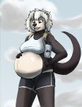  anthro backpack belly big_belly black_bottomwear black_clothing black_shorts bottomwear bra breasts clothed clothing cloud female flask glistening glistening_belly grey_eyes hair hand_on_stomach hi_res huandoodles mammal mustelid otter pregnant shorts sky_background solo sports_bra underwear white_hair 