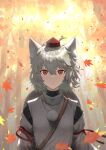  1girl autumn_leaves detached_sleeves expressionless falling_leaves harapan-kun highres inubashiri_momiji leaf looking_at_viewer pom_pom_(clothes) red_eyes red_headwear shirt short_hair solo touhou white_hair white_shirt white_sleeves 