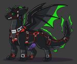  black_body collar dragon feral fin genitals green_eyes harness horn membrane_(anatomy) membranous_wings penis scale_(disambiguation) scar solo symrea wings 