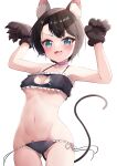  1girl absurdres animal_ear_fluff animal_ears animal_hands bangs black_bra black_hair black_panties blue_eyes blush bra breasts cat_cutout cat_ear_panties cat_ears cat_girl cat_lingerie cat_tail cleavage cleavage_cutout clothing_cutout collar gloves highres hololive looking_at_viewer makino_maki medium_breasts meme_attire navel oozora_subaru open_mouth panties paw_gloves pink_collar short_hair side-tie_panties solo swept_bangs tail underwear underwear_only virtual_youtuber 