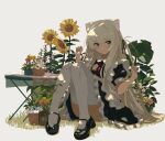  1girl animal_ear_fluff animal_ears apron black_dress black_ribbon blonde_hair closed_mouth dress flower frilled_apron frilled_dress frills hair_ribbon highres kgt_(pixiv12957613) knees_together_feet_apart knees_up lion_ears looking_at_viewer maid maid_apron mary_janes neck_ribbon one_side_up original plant puffy_short_sleeves puffy_sleeves purple_eyes red_ribbon ribbon shoes short_sleeves sitting smile sunflower thighhighs white_apron white_thighhighs 