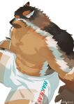  1boy animal_ear_fluff animal_ears bara black_fur boogbogex brown_eyes brown_fur chest_hair dog_boy dog_ears feet_out_of_frame from_above furry furry_male haki_(boogbogex) hand_on_floor highres huge_eyebrows large_pectorals looking_at_viewer looking_to_the_side male_focus muscular muscular_male navel_hair no_nipples orange_fur original pectorals short_hair shorts sitting solo sweatdrop topless_male whiskers white_fur white_shorts 