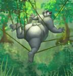  2023 4_fingers absurd_res anthro baloo bear belly big_belly big_butt butt detailed_background feet fingers fur grey_body grey_fur hi_res male mammal outside overweight overweight_male plant solo the_jungle_book themorghull tree 