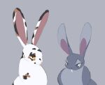  ambiguous_gender duo feral fur grey_body grey_fur labbit1337 lagomorph leporid mammal mottled piebald rabbit white_body white_fur 