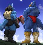  avian backlighting balls bird blue_body blue_fur bulge butt canid canine city clothing cloud destruction detailed_bulge duo falco_lombardi fox_mccloud frottage fur generation_4_pokemon genital_outline genitals half-erect hi_res light lighting lucario macro male male/male mammal masterelrest muscular muscular_male nintendo orange_body orange_fur penis pokemon pokemon_(species) rear_view sex size_difference speedo star_fox swimwear 