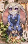  anthro basket carrot clothing container disney elronya female food gift happy judy_hopps lagomorph leporid light mammal outside plant police rabbit solo sunlight uniform vegetable zootopia 