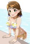  1girl ahoge bikini breasts brown_hair cleavage commentary_request front-tie_bikini_top front-tie_top gorohati green_eyes hair_ornament hairclip idolmaster idolmaster_cinderella_girls large_breasts layered_bikini lemon_print mismatched_bikini mole no_eyewear poolside short_hair side-tie_bikini_bottom solo swimsuit tsuchiya_ako water wet wet_clothes wet_swimsuit 