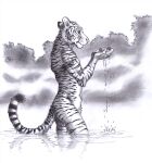  0laffson anthro clothing felid hi_res male mammal monochrome nude pantherine pawpads solo tiger water 