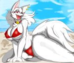  absurd_res anthro beach big_breasts blue_background breasts canid cheek_tuft chest_tuft clothing collar ear_piercing eyelashes facial_tuft female fur grey_background hi_res kartt_(killer._ez) killer._ez looking_at_viewer mammal nipple_outline open_mouth piercing red_clothing red_eyes red_swimwear sea seaside simple_background solo swimwear thick_thighs tuft water white_body white_fur wide_hips 