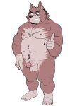  2023 absurd_res anthro balls black_nose brown_body canid canine canis domestic_dog erection genitals hi_res humanoid_genitalia humanoid_hands humanoid_penis kemono male mammal moobs musclegut nipples penis simple_background slightly_chubby solo ujishiyo white_background 