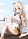  1girl animal_ears black_shorts cat_ears cat_girl cat_tail crop_top furry furry_female highres jeifier_(korfiorano01) long_hair midriff navel original shirt shorts stomach tail white_hair white_shirt yellow_eyes 