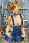  2023 anthro areola areola_slip bovid bovine breasts brown_body brown_eyes brown_fur brown_hair caribou_(artist) cattle clothing collar cowbell female fur hair hay horn jersey_cattle mammal overalls photo_background photography_(artwork) pitchfork rope shovel solo tan_body tan_fur tools wagon_wheel 