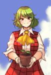  1girl absurdres akiosketch cloud cloudy_sky dress gloves green_hair highres holding kazami_yuuka looking_at_viewer neckerchief plaid plaid_dress plant potted_plant red_dress red_eyes shirt sketch sky sleeves_rolled_up smile solo touhou white_gloves white_shirt yellow_neckerchief 