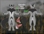  absurd_res carradus floofthefennec fluffy furry furryart hi_res mcfloof model_sheet 