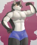  anthro canid canine canis gabeccoon hi_res male male/male mammal oscar_(knights_college) solo wolf 