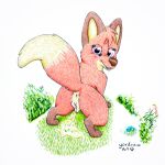  absurd_res animal_genitalia animal_pussy anus butt canid canine canine_genitalia canine_pussy cute_expression cute_eyes female feral fox genitals hi_res jungledyret_hugo mammal peeing pussy red_fox rita_(jungledyret) shy solo tail yordraw 