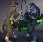  anthro arms_tied bound canid canine canis chastity_cage chastity_device domestic_dog fellatio group hi_res husky jailbird knot knotting legs_tied looking_pleasured male male/male mammal nordic_sled_dog oral penile sex spitz tail tail_tied tongue tongue_out trio wolf 