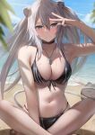  1girl absurdres animal_ears arm_up beach bikini black_bikini blue_sky blurry breasts closed_mouth crossed_ankles depth_of_field dog_tags grey_eyes grey_hair highres hololive indian_style large_breasts leaf lion_ears lion_girl looking_at_viewer navel ocean sandals shishiro_botan sitting sky smile solo_focus ssrb_(shishiro_botan) stomach swimsuit tataki_worker virtual_youtuber w water wet 