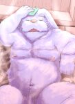  2023 anthro balls bathing belly flaccid genitals kemono lagomorph leporid male mammal misterdonn moobs navel nipples overweight overweight_male penis pink_nose rabbit sitting solo water white_body 