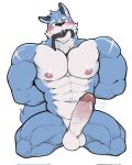  abs anthro balls biceps blush canid canine canis deltoids erection fur genitals hi_res humanoid_genitalia humanoid_penis kneeling maldu male mammal muscular muscular_anthro muscular_male navel nipples nude pecs penis quads simple_background solo solo_focus tail white_background wolf 