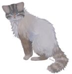  alpha_channel blue_eyes dekity detailed detailed_fur digital_media_(artwork) domestic_cat felid feline felis feral fur looking_at_viewer mammal meow_(faucet) quadruped shaded signature simple_background solo tail transparent_background whiskers 