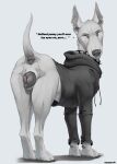  anatomically_correct anatomically_correct_genitalia anatomically_correct_pussy animal_genitalia animal_pussy anus canid canine canine_genitalia canine_pussy canis clothed clothed_feral clothing collar dialogue dobermann domestic_dog female feral fur genitals hi_res hoodie jessica_(syn-6) looking_at_viewer looking_back looking_back_at_viewer mammal multi_nipple nipples pinscher pussy raised_tail solo spiked_collar spikes tail topwear truegrave9 white_body white_fur 