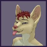  1:1 aleks_pakaralex anthro canid canine fox hi_res male mammal smart solo tongue 