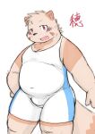  2023 absurd_res anthro bear_2key belly blush brown_body bulge canid canine cute_fangs hi_res kemono male mammal overweight overweight_male raccoon_dog simple_background solo tanuki wrestling_singlet 