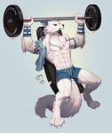  abs absurd_res anthro bench_press bodily_fluids canid canine canis clothed clothing ds_desha exercise fur hi_res male mammal muscular muscular_anthro muscular_male pecs solo sweat tattoo topless towel weightlifting weights wolf workout 