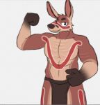  aboriginal anonymous_artist anthro bodypaint bottomwear clothing humanoid kangaroo lands_of_fire loincloth low_res macropod male mammal marsupial perrurle red_kangaroo solo tribal 