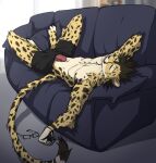  angiewolf anthro bulge cheetah clothed clothing erection eyes_closed eyewear felid feline fur furniture genitals glasses hi_res humanoid_genitalia humanoid_penis inside male mammal on_sofa partially_clothed penis poking_out sleeping sofa solo spots spotted_body spotted_fur underwear underwear_only yellow_body yellow_fur 