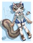  1girl acorn animal_ears anniversary blue_background boots brown_eyes brown_hair chipmunk_ears chipmunk_girl chipmunk_tail extra_ears gloves highres kemono_friends kemono_friends_v_project kneehighs microphone ribbon saba_ru shirt short_hair shorts siberian_chipmunk_(kemono_friends) simple_background socks tail vest virtual_youtuber 