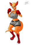  3:4 anthro boxing boxing_gloves breasts clothing female handwear hi_res kangaroo ko_(fabio_paulino) macropod mammal marsupial mastersaruwatari sport 