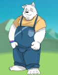  2023 anthro black_nose blush canid canine canis clothing domestic_dog feet hi_res humanoid_hands kemono male mammal mountain outside overalls overweight overweight_male shirt solo topwear white_body wnsgh2466 