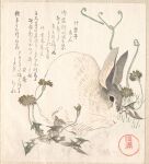  1820 19th_century ancient_art black_eyes dandelion feral flower fur grey_body grey_fur hi_res japanese_text kubo_shunman lagomorph leporid mammal multicolored_body multicolored_fur paws plant rabbit solo text traditional_media_(artwork) two_tone_body two_tone_fur whiskers white_body white_fur 