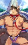  abs anthro balls biceps brown_body brown_fur canid canine canis clothing collar crest2316920 domestic_dog eyewear flaccid fur genitals hi_res leash lifewonders live_a_hero male mammal muscular muscular_anthro muscular_male pecs penis pubraseer solo sunglasses thong translucent translucent_clothing underwear wet wet_clothing 