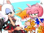  4:3 age_difference amy_rose anthro bat canid canine cheerleader clothed clothing crossdressing eulipotyphlan female fox group hedgehog male male/female mammal miles_prower misuta710 older_female pom_poms rouge_the_bat sega sonic_the_hedgehog_(series) trio younger_male 
