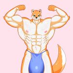  abs absurd_res anthro big_bulge bulge canid canine canis clothing domestic_dog flexing hi_res huge_bulge male mammal shimita solo underwear 