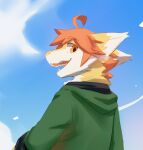  anthro blue_sky cheek_tuft clothed clothing cloud day dragon ears_back facial_tuft fangs fur furred_dragon glistening glistening_eyes green_clothing green_hoodie green_topwear hair happy hi_res hoodie kutto kuttoyaki looking_at_viewer male neck_tuft open_mouth open_smile orange_eyes orange_hair outside pivoted_ears sky smile solo teeth topwear tuft white_body white_fur yellow_body yellow_fur 