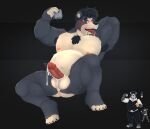  absurd_res acario anthro bear belly body_hair genitals hi_res male mammal muscular penis solo spectacled_bear tremarctine 