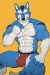  2023 2:3 4_fingers anthro blue_body blue_fur bulge canid canine canyne_khai claws countershade_face countershade_fur countershade_torso countershading eyebrows fangs fingers fur hi_res looking_at_viewer male mammal muscular muscular_anthro muscular_male seto_(seto_r30) solo tail teeth 